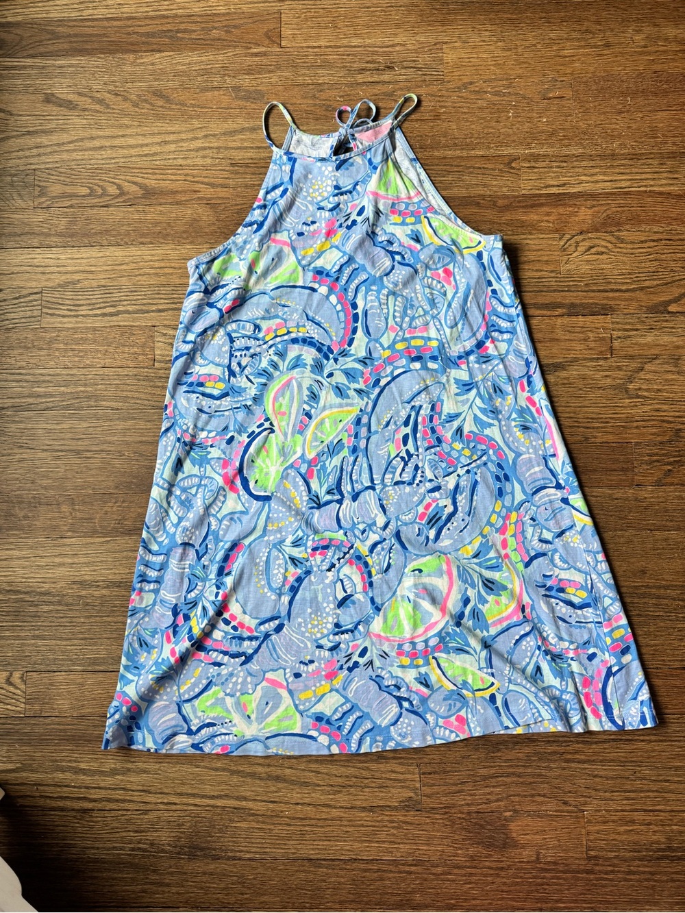 Lilly Pulitzer Sleeveless A-Line Dress in Light Blue Floral Print